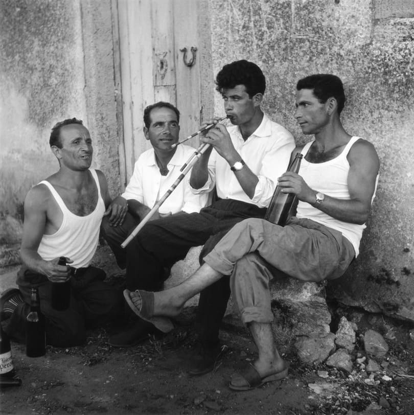 Cabras estate 1962, Serenata. Foto di Sara (Ruth) Zedeler